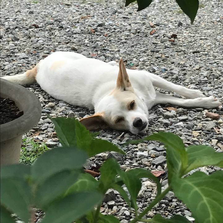 C09fedca 4bd9 4fba 88ec 25b11c959fec