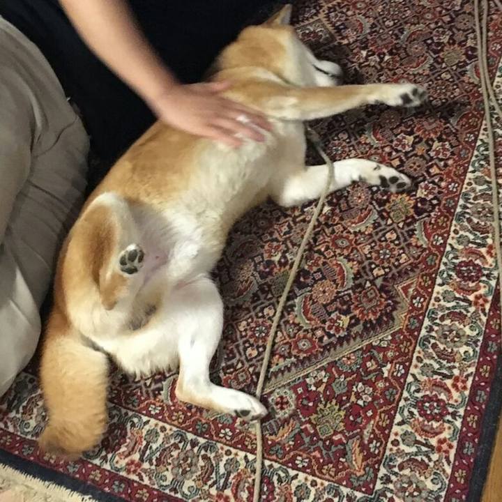 C0a066d5 6575 44e7 8f6a 133956b891d0