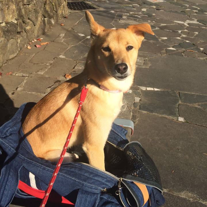 C0a0aa57 df1c 40af acfe dddee6848206