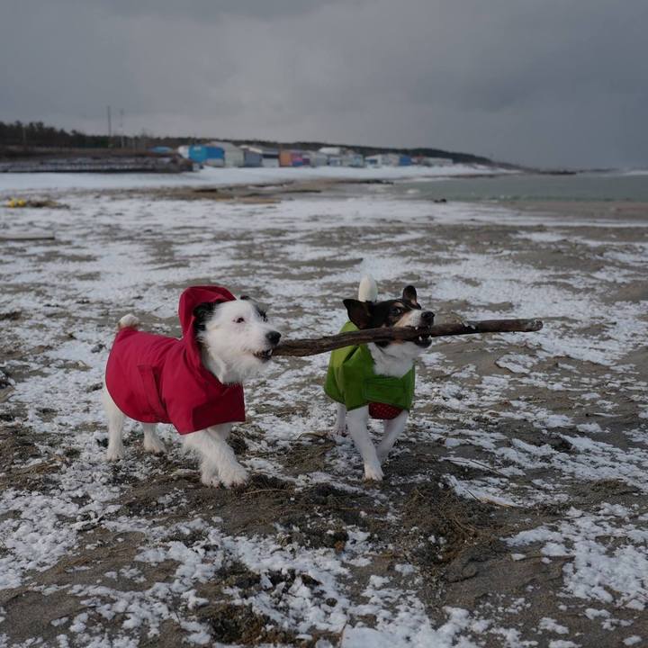 C0a18e98 8a17 4776 98d6 ff327297d231