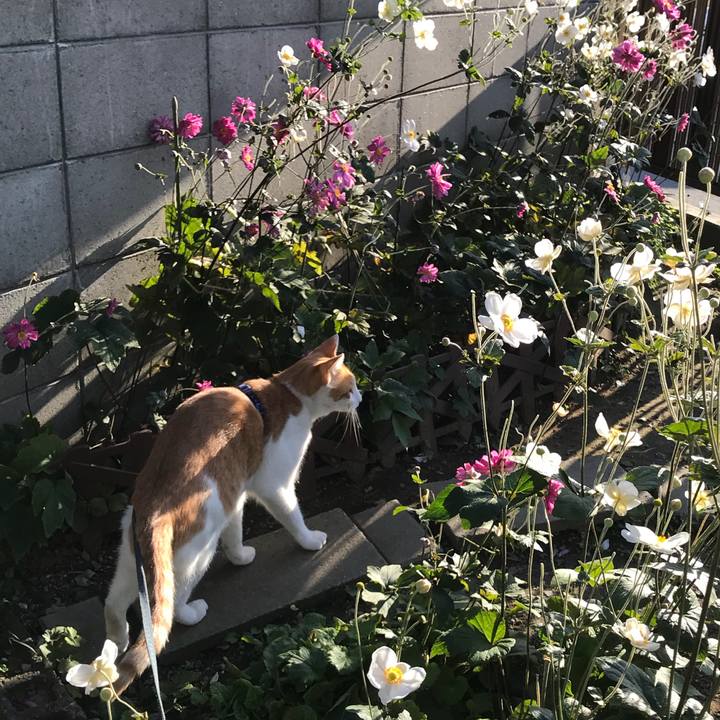 C0a19f24 334e 4054 ac93 52713b18e2b3