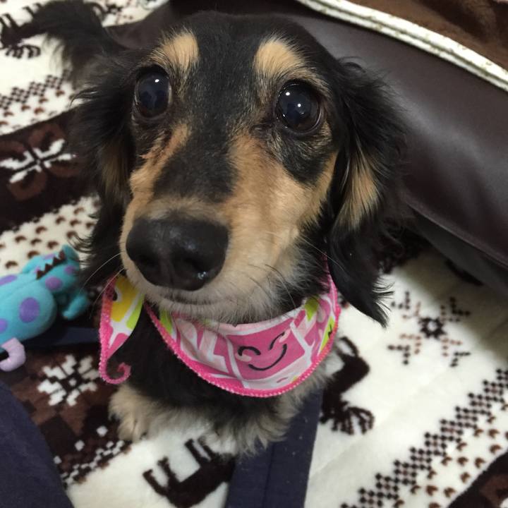 C0a2c996 99ac 42d5 979d c13dd1dfd867