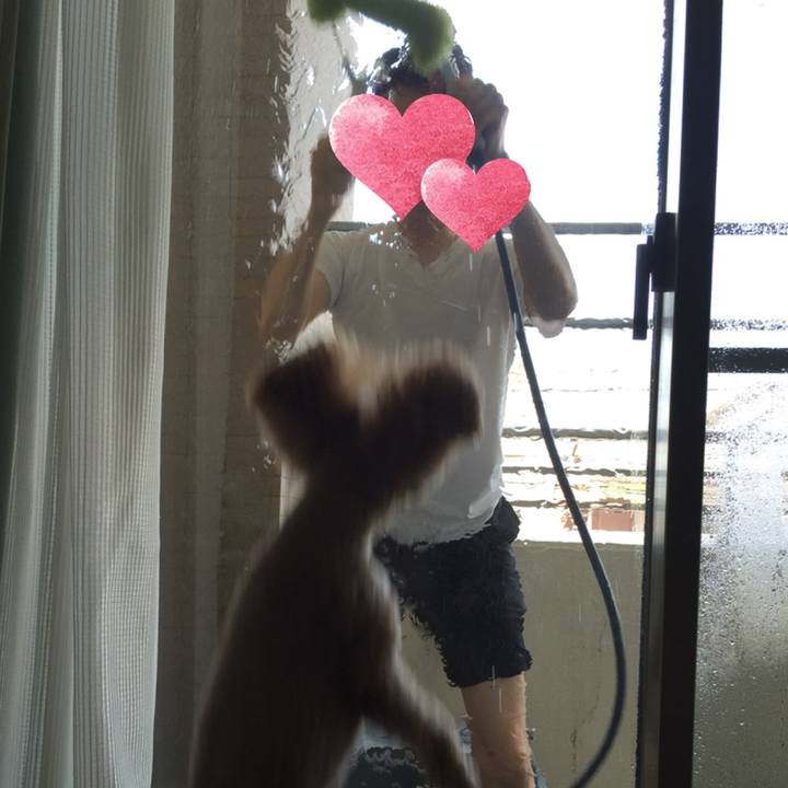 C0a2d5e9 2f4c 4ce5 a4c1 854655482625