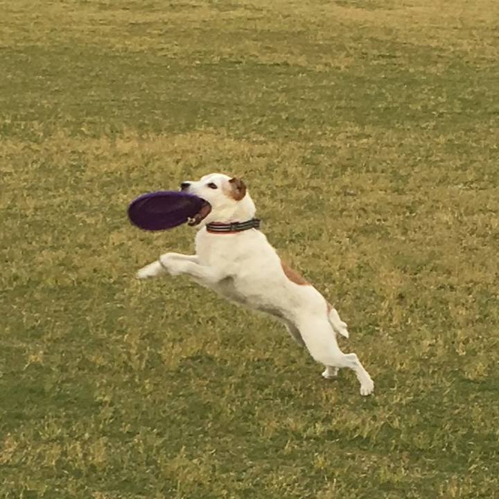 C0a36c66 65c7 4c82 90c0 3be8bda69b6e