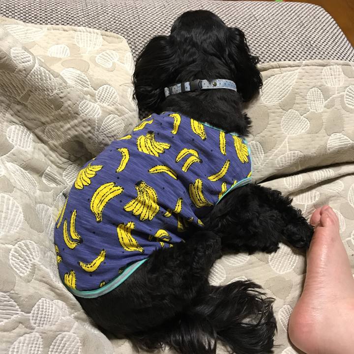 C0a3e16f 0308 4389 9e4f 5fba59413360