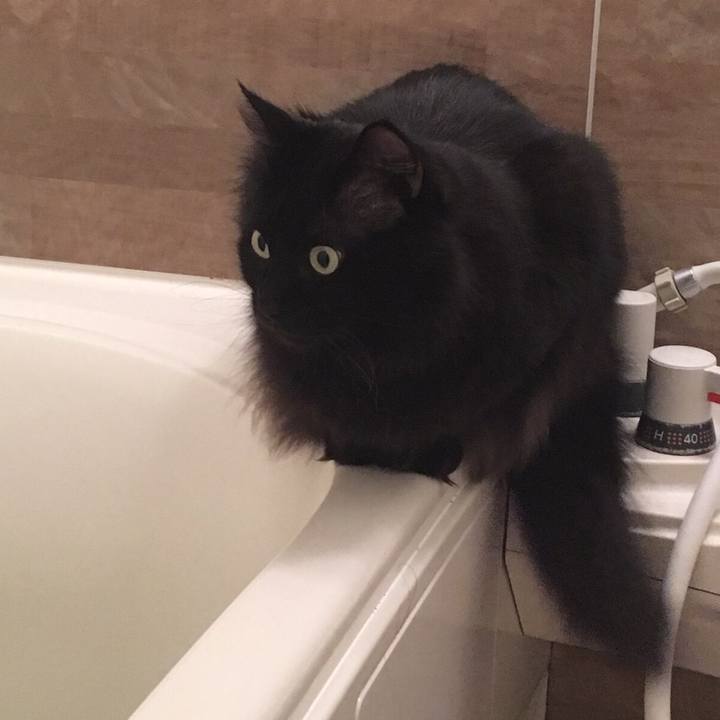 C0a3ff94 25e8 4056 8e8c d0edfe44632a