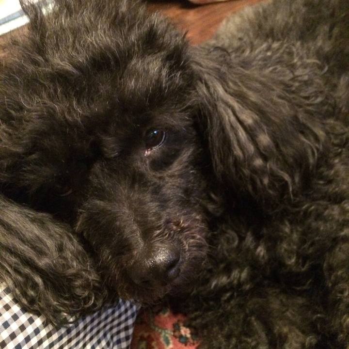 C0a4e1be 611e 488c 8d51 cd2115ec037a