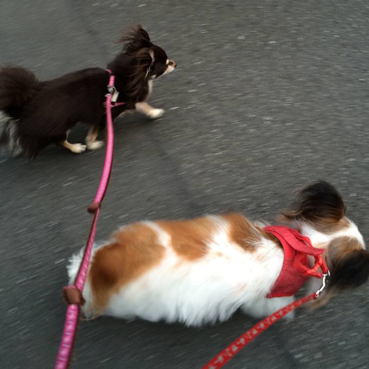 C0a4ffbd 64e3 41f4 ad25 d0d1f0f37fe6