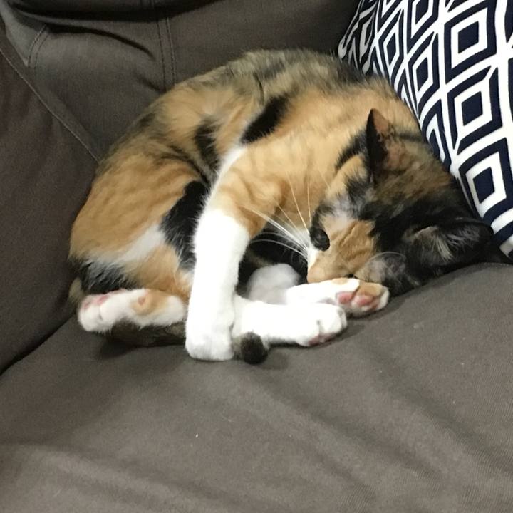 C0a54752 0e56 4a3a ba92 84522110b02c