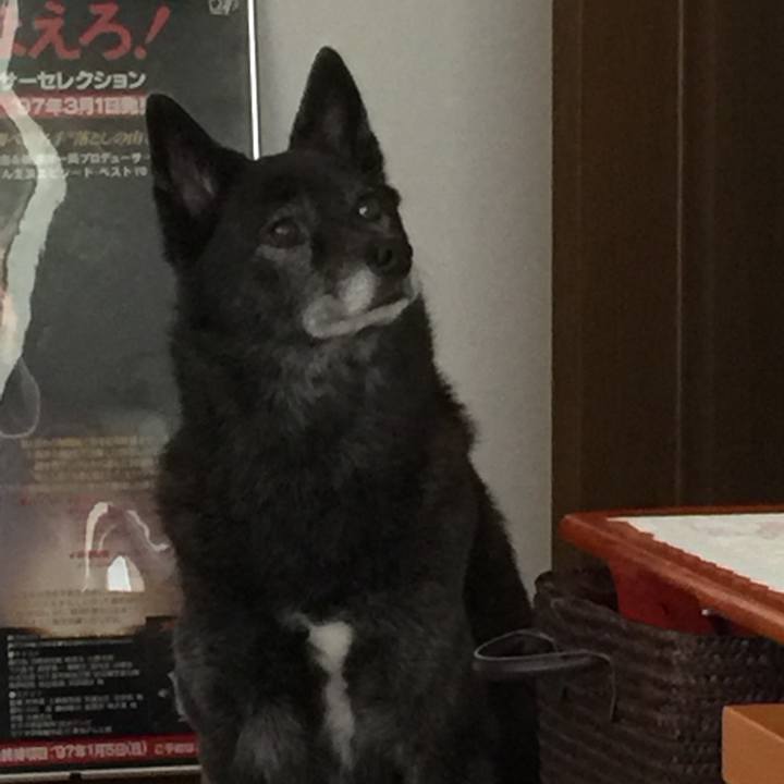 C0a56f59 25eb 4543 a368 aeecf0b34d61