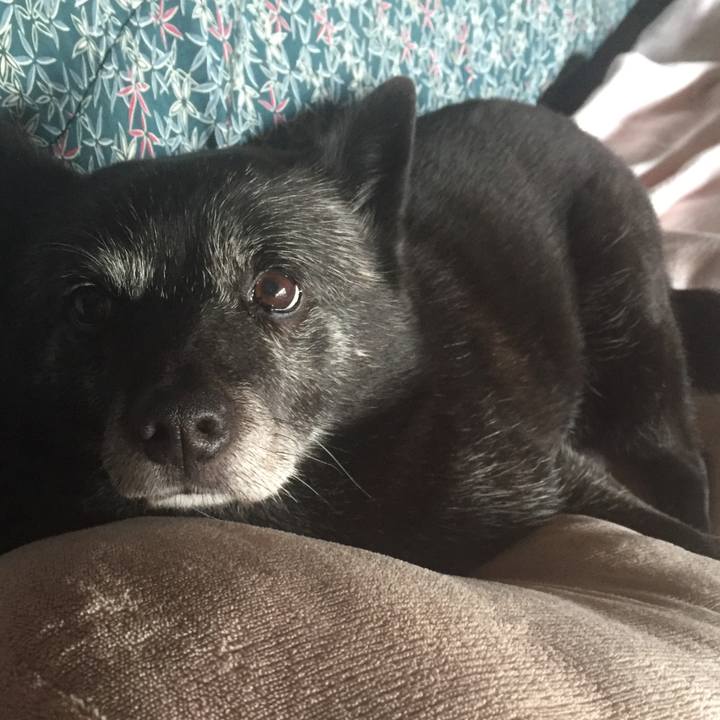 C0a5c8d3 e164 4f2f 9775 b4e101d1aa9a