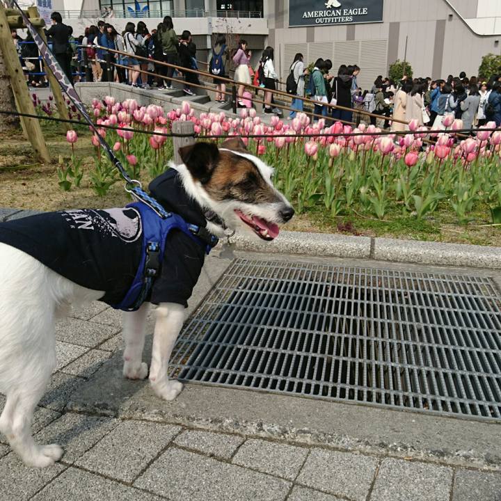 C0a609e7 c9f6 44cd 89ca c6c30f38c330