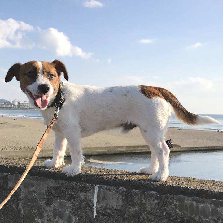 C0a681c3 d820 4f4f 9552 35b7286faad8