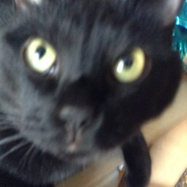 C0a6a95e 04d9 491b 8a4d a5e167a5aa1a