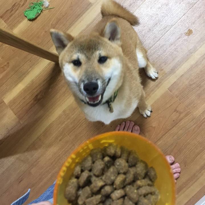 C0a73cd4 6133 433d abb0 6ff0a1cafb55