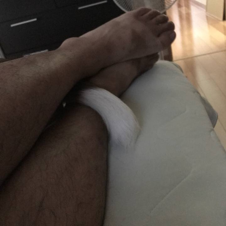 C0a750d4 0839 46d3 8946 46418175f519