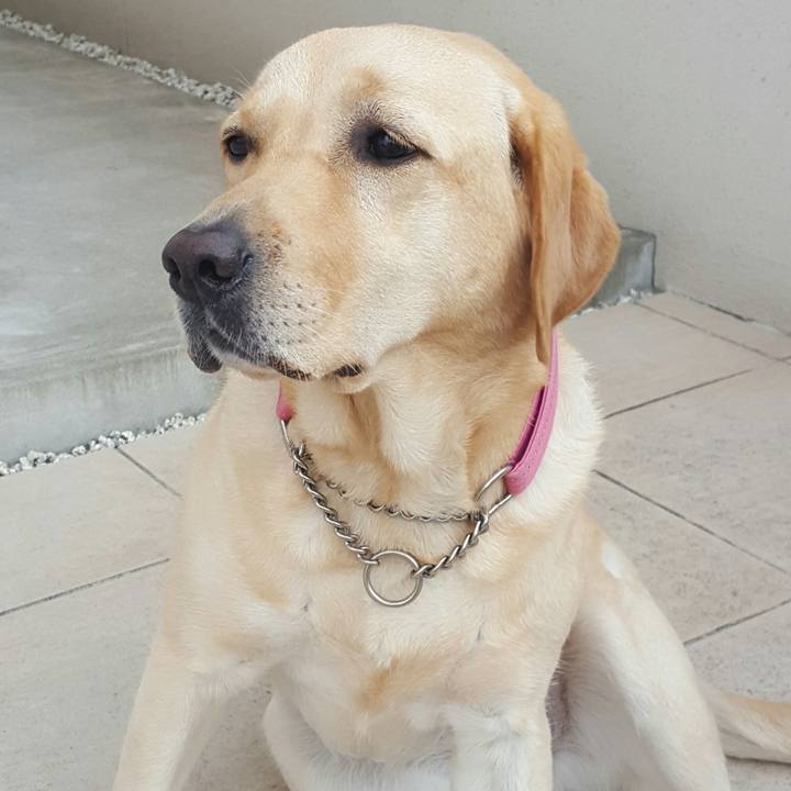 C0a771b8 dc12 4fbd b5f1 a36a02a84869