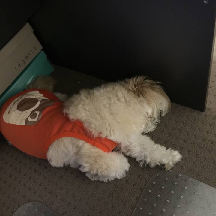 C0a7ddf4 31fc 442e 9fe2 84a7e9b81859