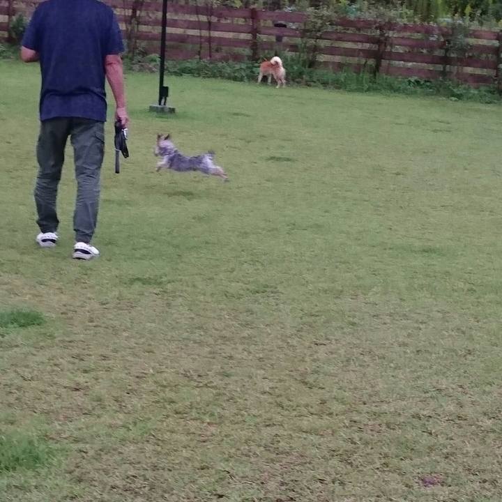 C0a824d1 9c03 4860 9a8a 6f0abae8fc6f