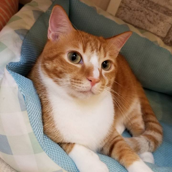 C0a834e2 0099 4d52 918c ddf41d99f2ff