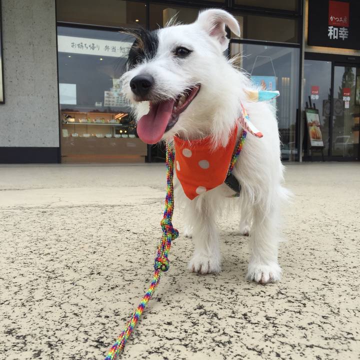 C0a83a93 5c14 4e4c b85a 60db5843a1bd