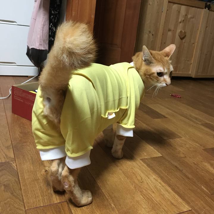 C0a866e5 e3c1 4ad7 92d7 6be242bfa3d2