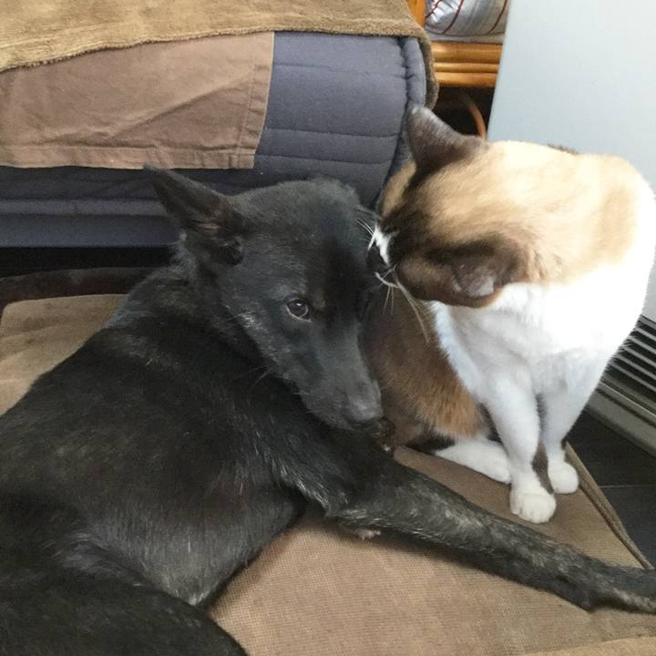 C0a99120 1333 44bb 9e06 6bae849cd432