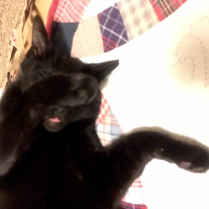 C0a9ecf8 519a 4b80 aa1e 6a69938e4db0