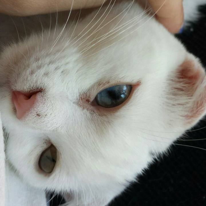 C0aa1e7d fbb5 4a16 aa39 150deab029f8