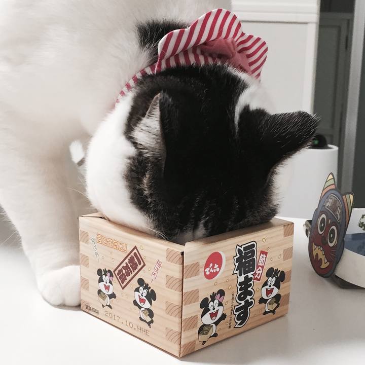 C0aa9c5b f1f4 459a 813e 3da8bc1e780d