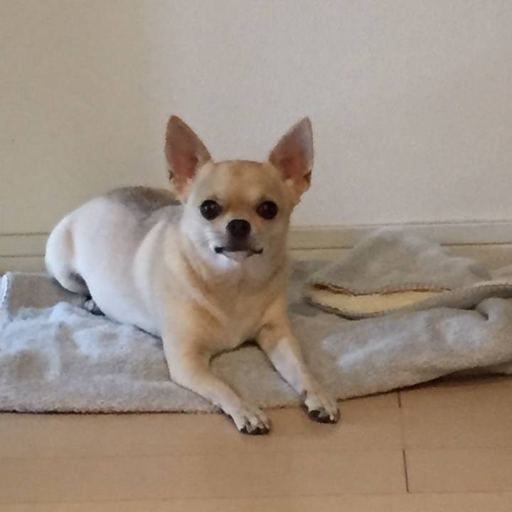 C0aaaf2c 68a0 4fdb 99b9 6ace279d86ba