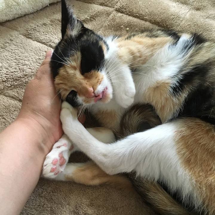 C0ab79a9 6bda 483a 980c 4dd39dfbb8a4