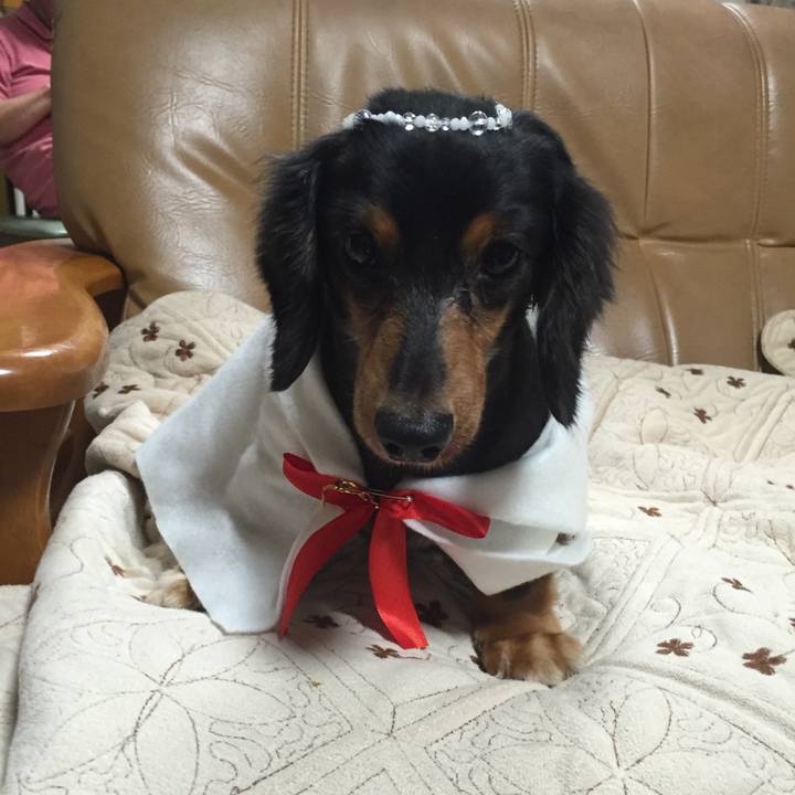 C0ab9ede ed9e 4a60 bd2f 9f4d86bbe267