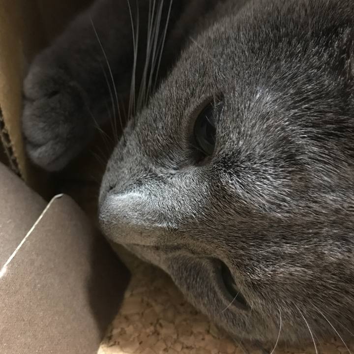 C0ac0aa4 a23d 4708 b084 a81b68ab3d52