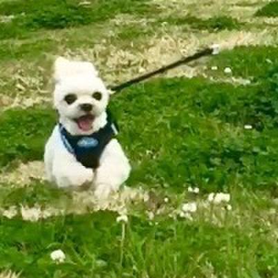 C0ac8e8d 6a25 4f43 8349 3defe02747ac