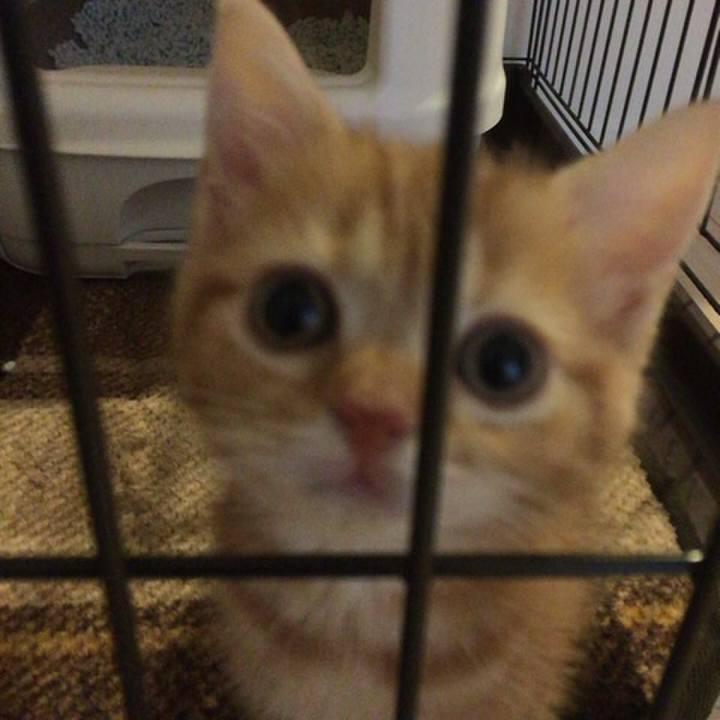 C0ac983c 81ce 40a6 9e6b 298334225af8