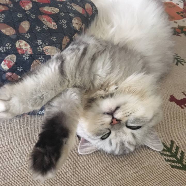 C0aca49d fb10 4cf9 ac3f 8e082f156d93