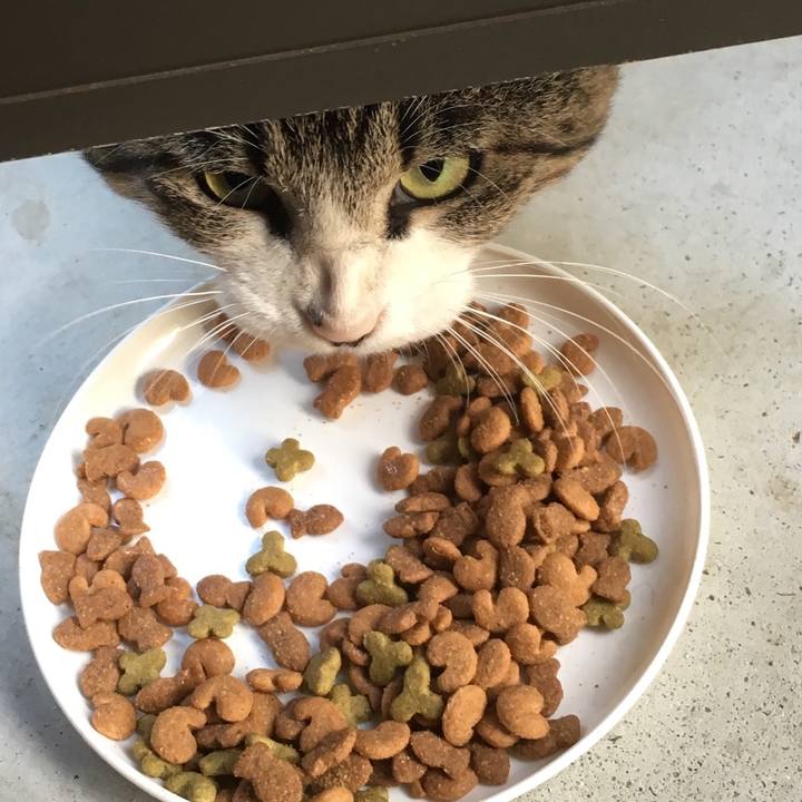 C0acbad5 d735 445a 9fb7 5a34ba4b47cf