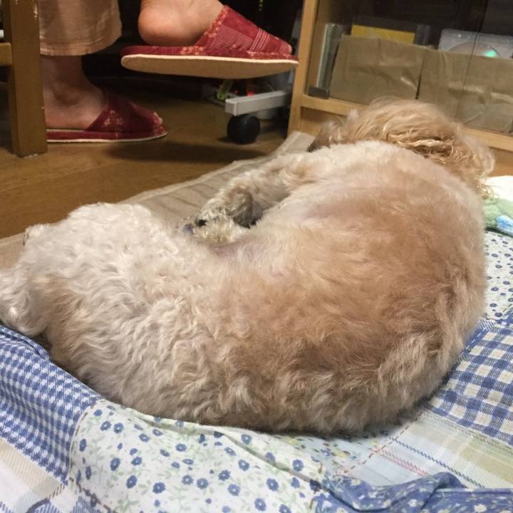 C0acec2e d5e4 460c bd61 0b82316ac4e1