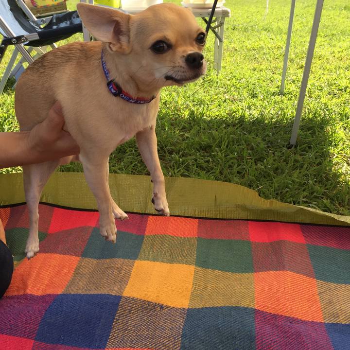 C0ad81de b8dc 428c b368 82a1afa24be3