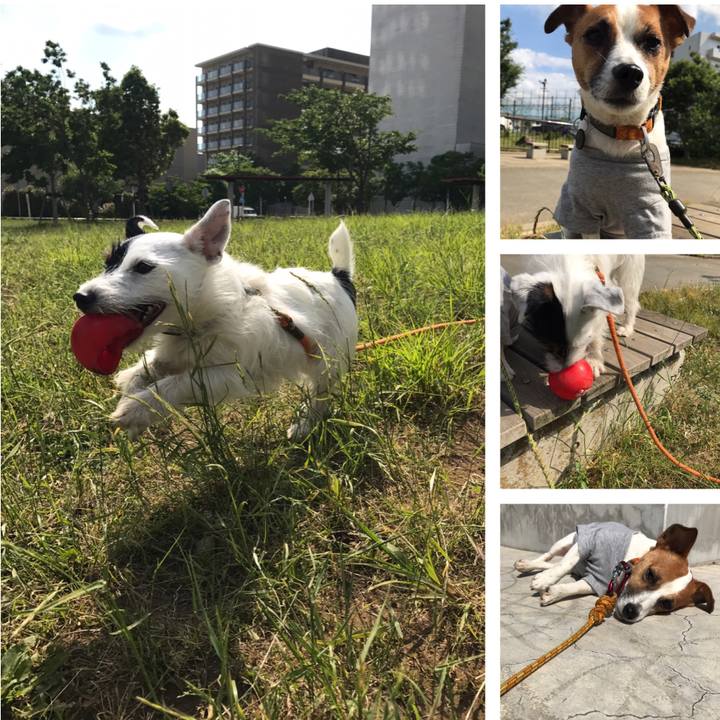 C0aea311 ff4c 4ec6 a822 d88b30a2cf6b