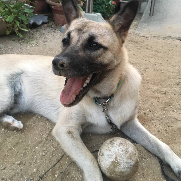 C0afe646 a5a5 43c3 8272 200b4109c1a2