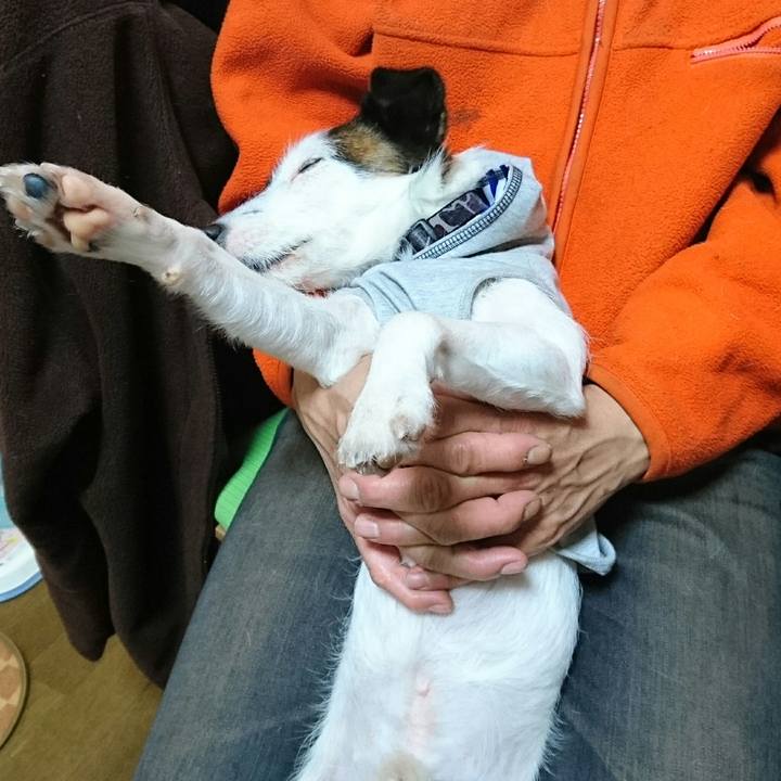 C0aff0b2 0250 40aa b87c a43f30661d87