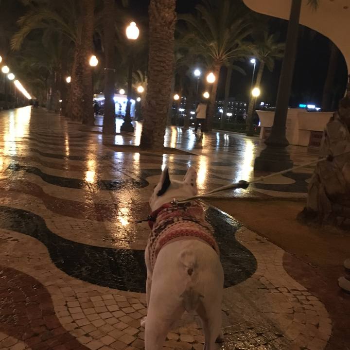 C0b09a35 a5b1 43a2 8ba1 535f6f8bbf11