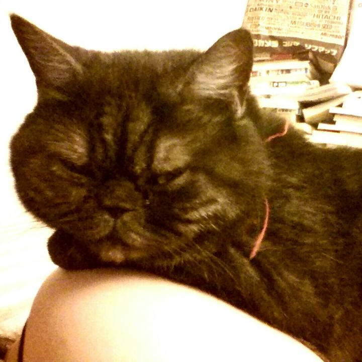 C0b0bd2d ef4e 4986 afee d100d0deff9c