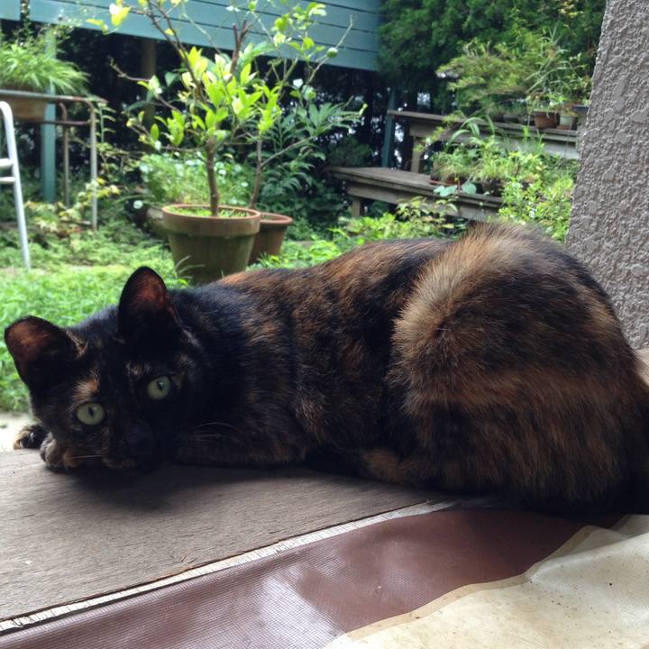 C0b0df24 42f2 4728 8216 dc1d2e5c634e