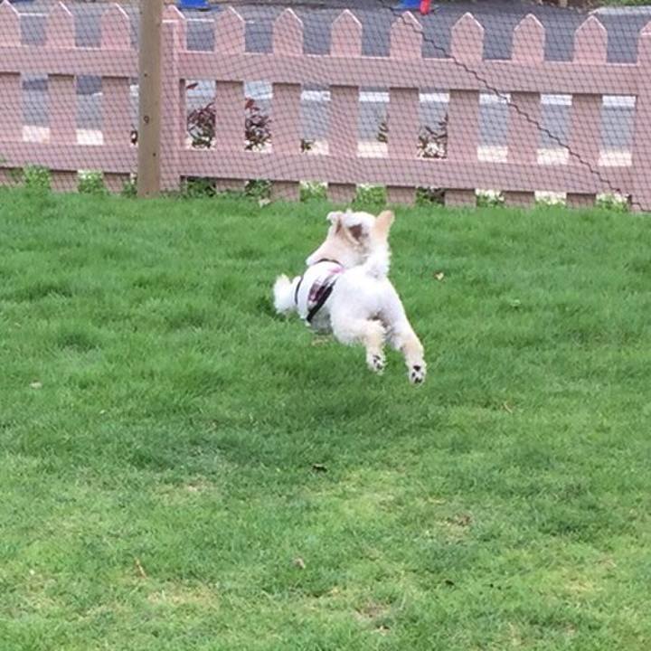 C0b10a59 9e3a 437b 8435 d9e3c87b2586