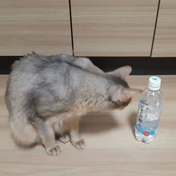 C0b14779 7cd9 4d7f 9ccf 342587ddeb2b