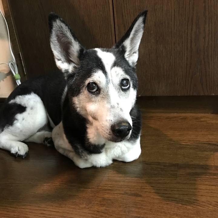 C0b1a231 558d 495d a12b 116d5cc51ced