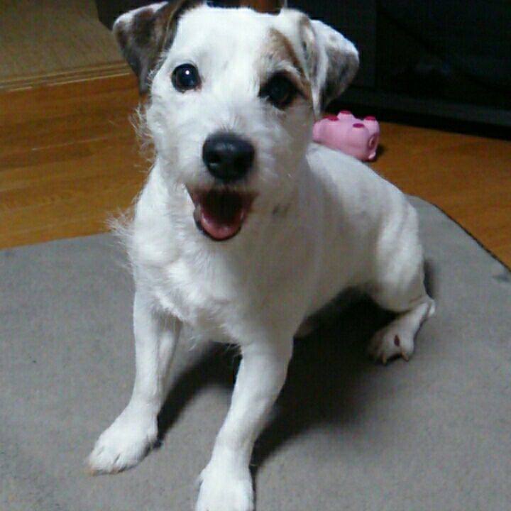 C0b1d56b 985d 4cc4 8bc4 b0e4e72560ec